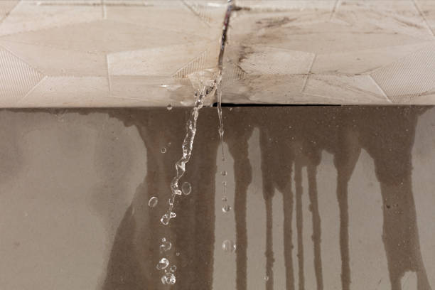 Professional Structural Drying technician working in Jersey, GA